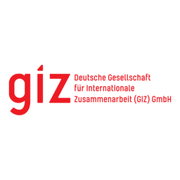 GIZ logo